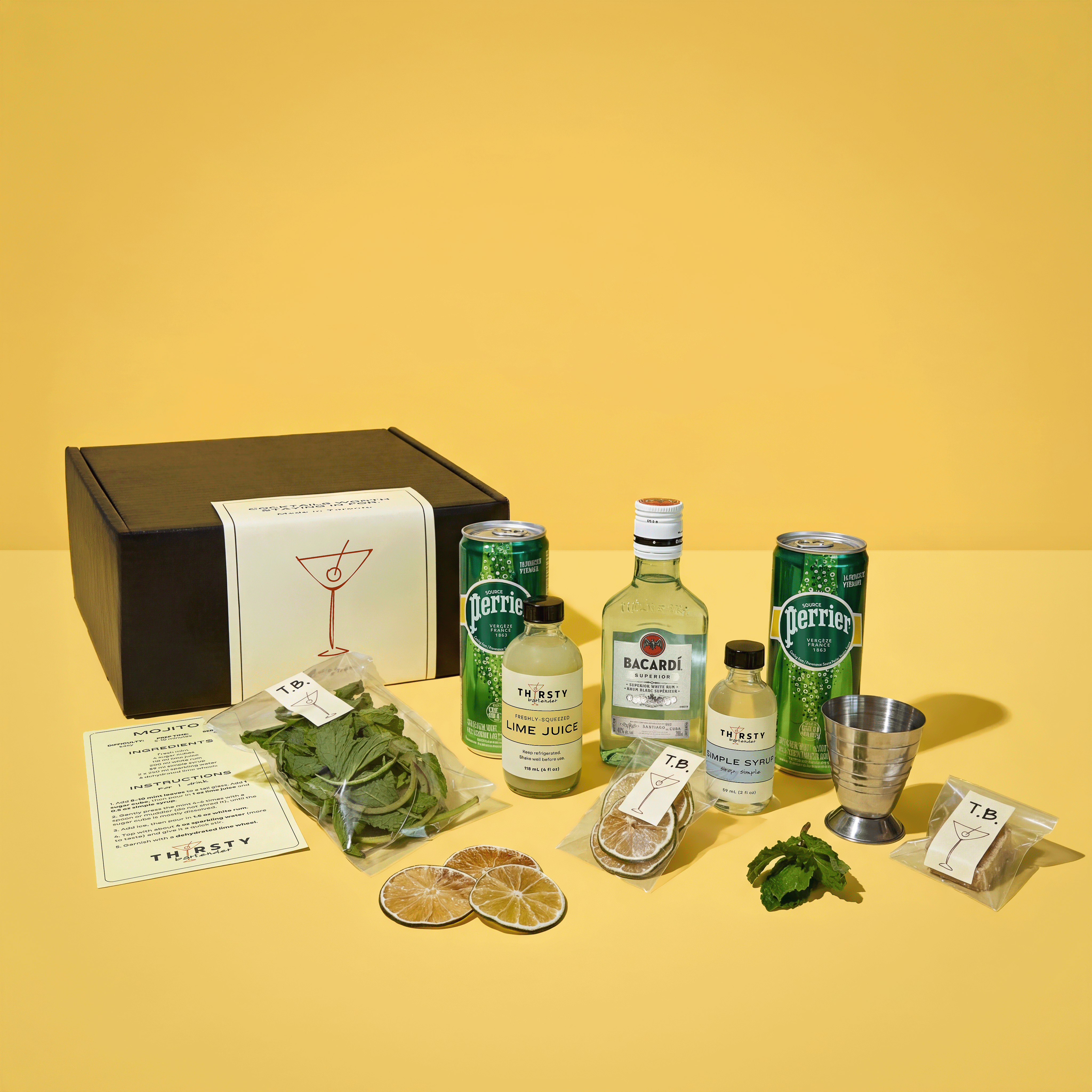 Mojito cocktail kit with Bacardi Rum included, from Thirsty Bartender Toronto