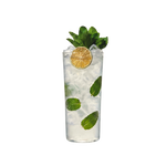 Mojito cocktail, from Thirsty Bartender Toronto