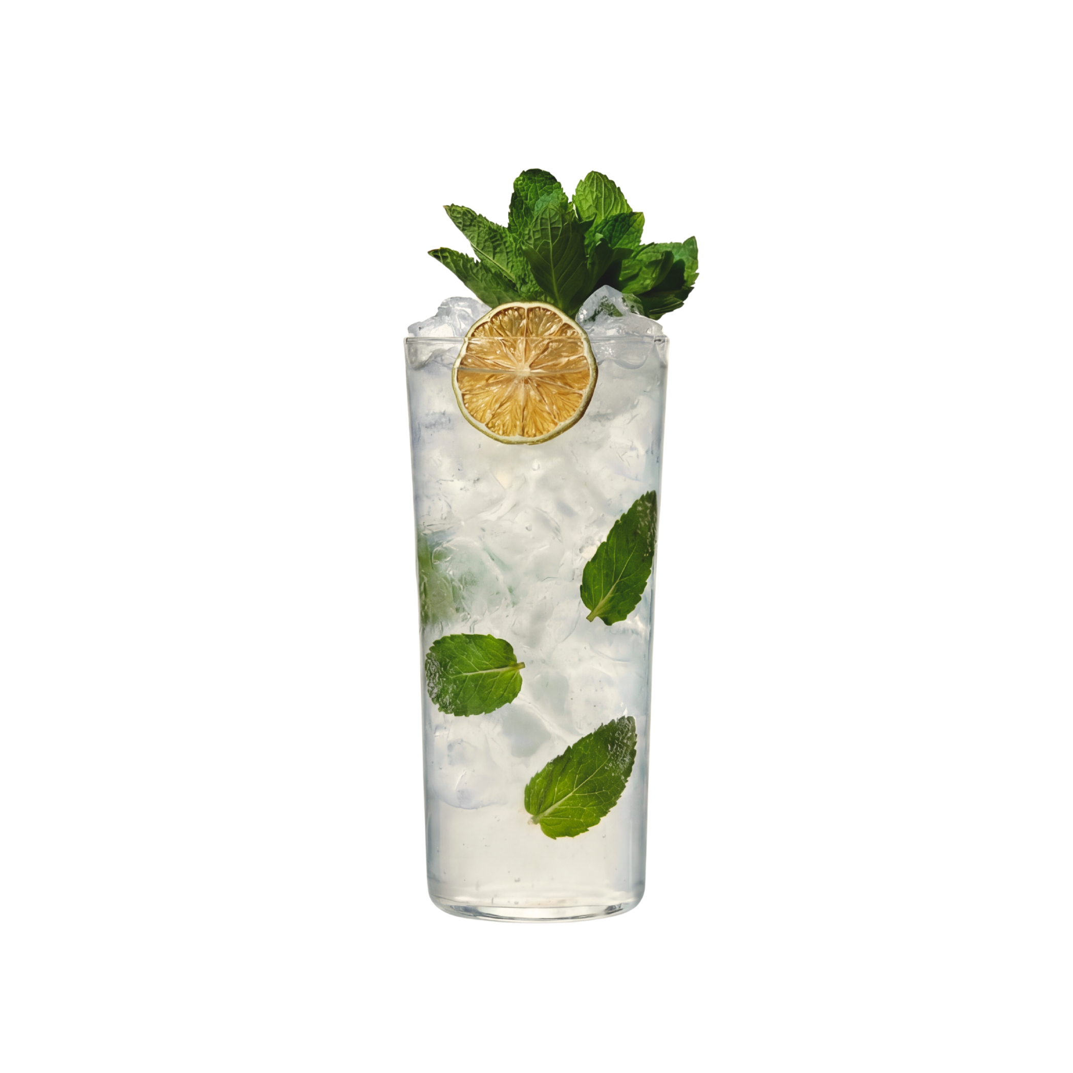Mojito cocktail, from Thirsty Bartender Toronto