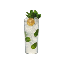 Mojito cocktail, from Thirsty Bartender Toronto